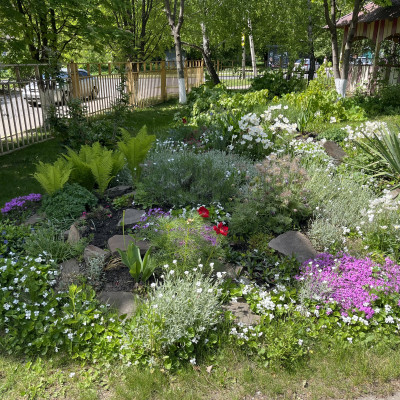 Детский сад №135