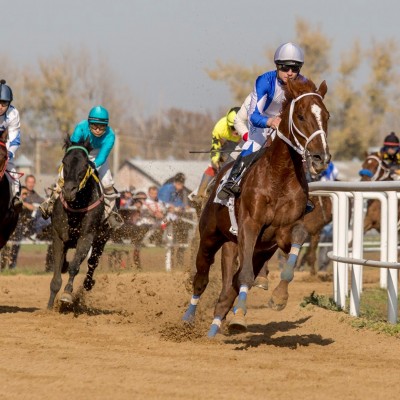 Краснодарский ипподром