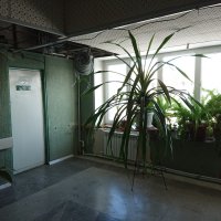 Городская детская поликлиника №1