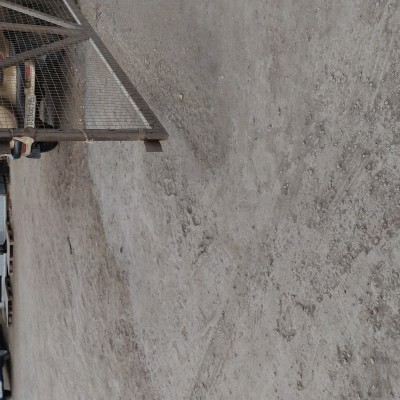 Эдельвейс Л