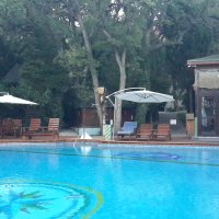 Белый Лебедь