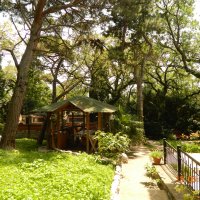 Белый Лебедь