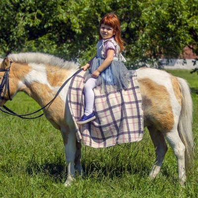 Краснодарский ипподром