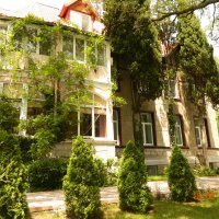 Белый Лебедь