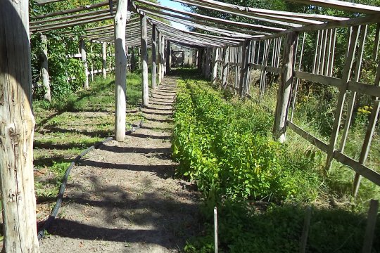Доставка еды шебекино Доставка еды шебекино