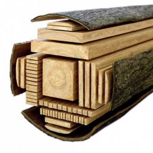 Константин Клевогин