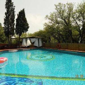 Белый лебедь