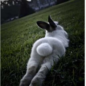 Светлана Дунаева