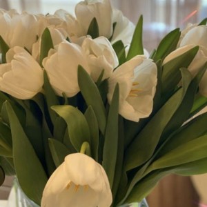 Ника Грибова