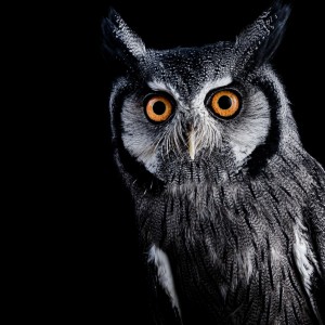 Ксения Владимировна