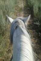 Алина Лапшина