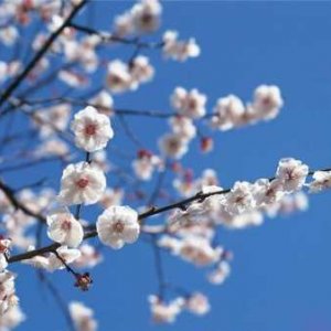 Жанна Дорофеева