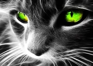 Жанна_Денисова