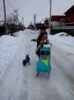 Виктория Алексеева